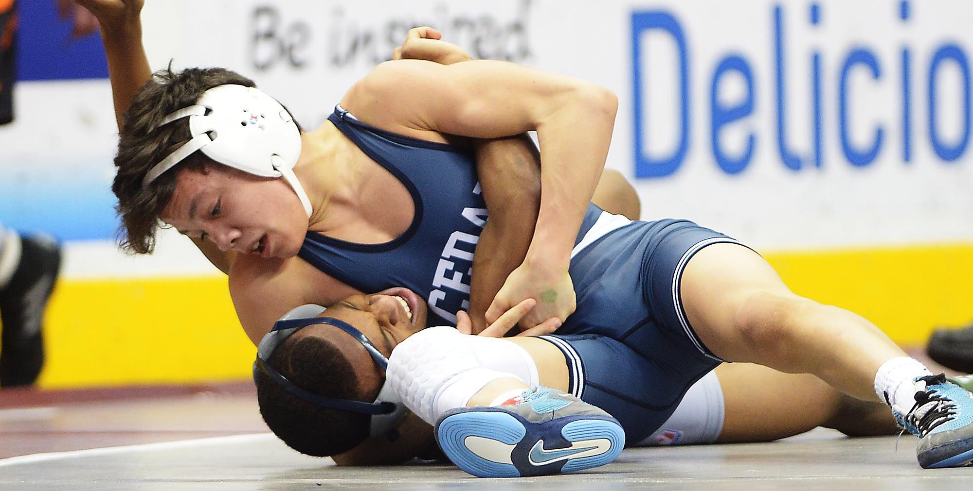 District 3 Individual Wrestling Championships